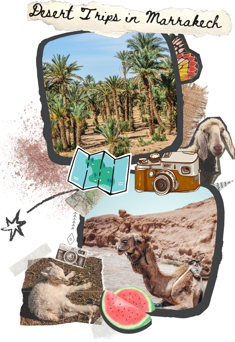Desert Trips in Marrakech