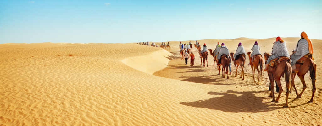 A caravan of camels traversing the desert sands in a timeless procession.