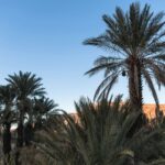 things to do Zagora