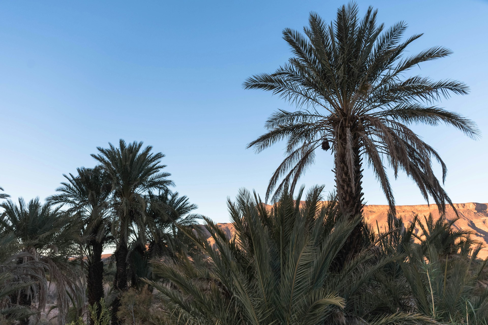 things to do Zagora