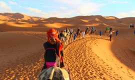 3 days desert trip from marrakech to desert 20240731 212159 0000