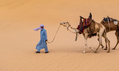 Best Sahara Desert Tours from Marrakech