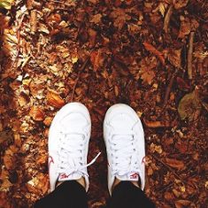natuurcoaching