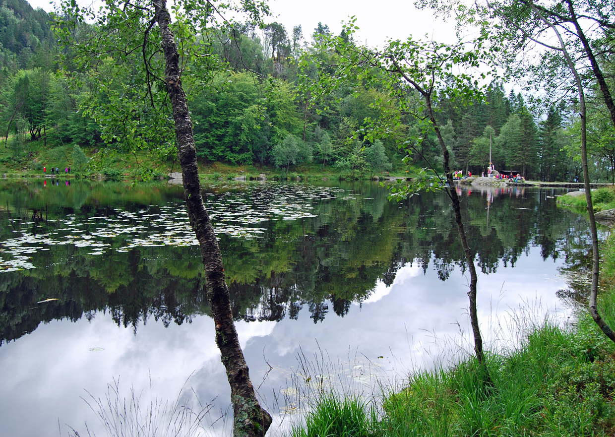 Denna bild har ett alt-attribut som är tomt. Dess filnamn är Flöibananvandromr2019.jpg