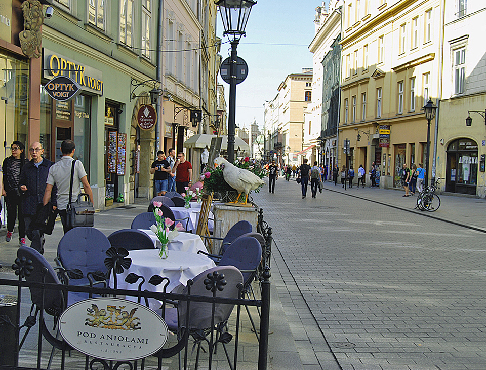 Denna bild har ett alt-attribut som är tomt. Dess filnamn är stadsbildduvarest11000pix.jpg