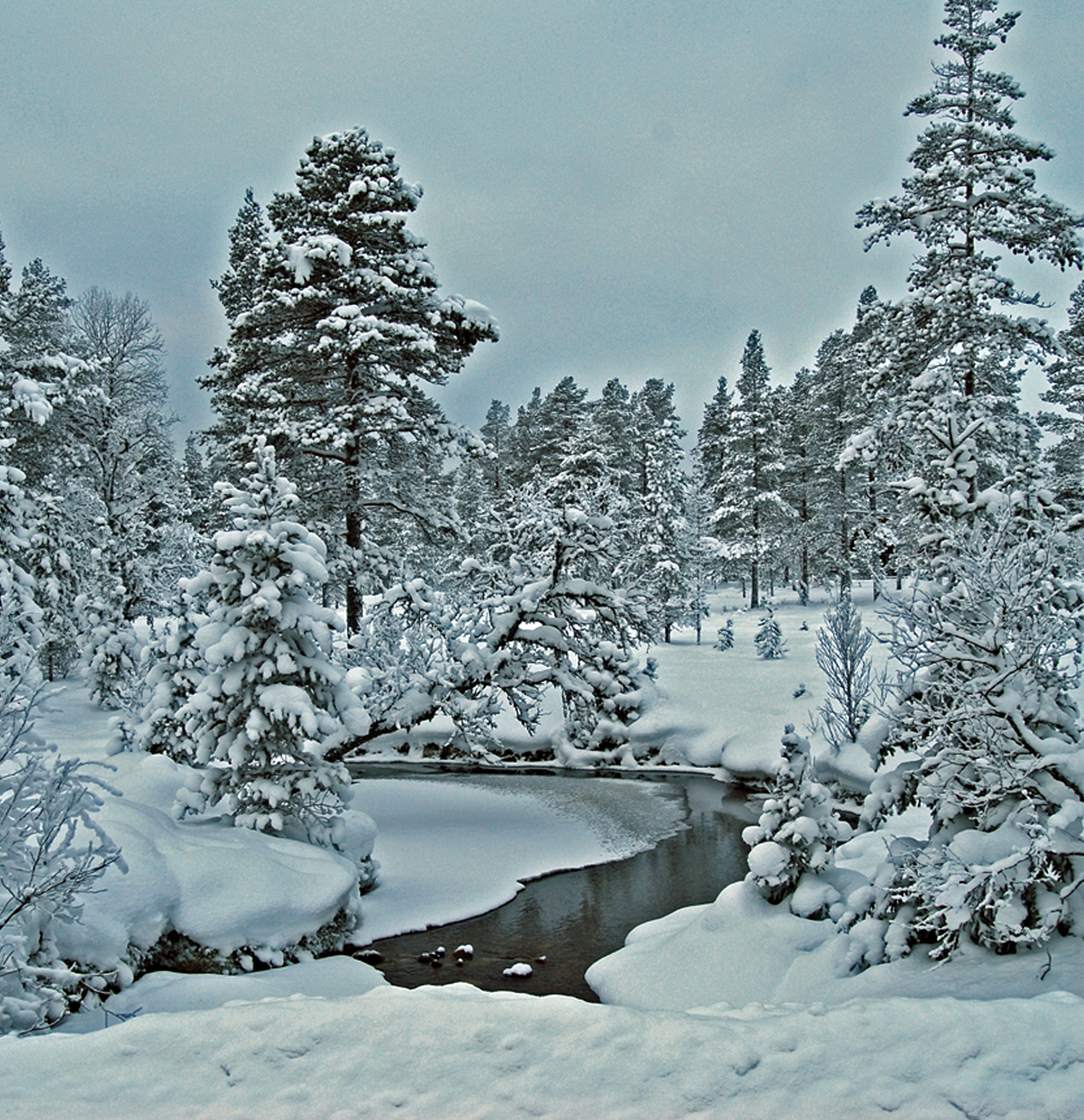 Denna bild har ett alt-attribut som är tomt. Dess filnamn är Tandådalenvattenträdrev20179FEBRbesk.jpg