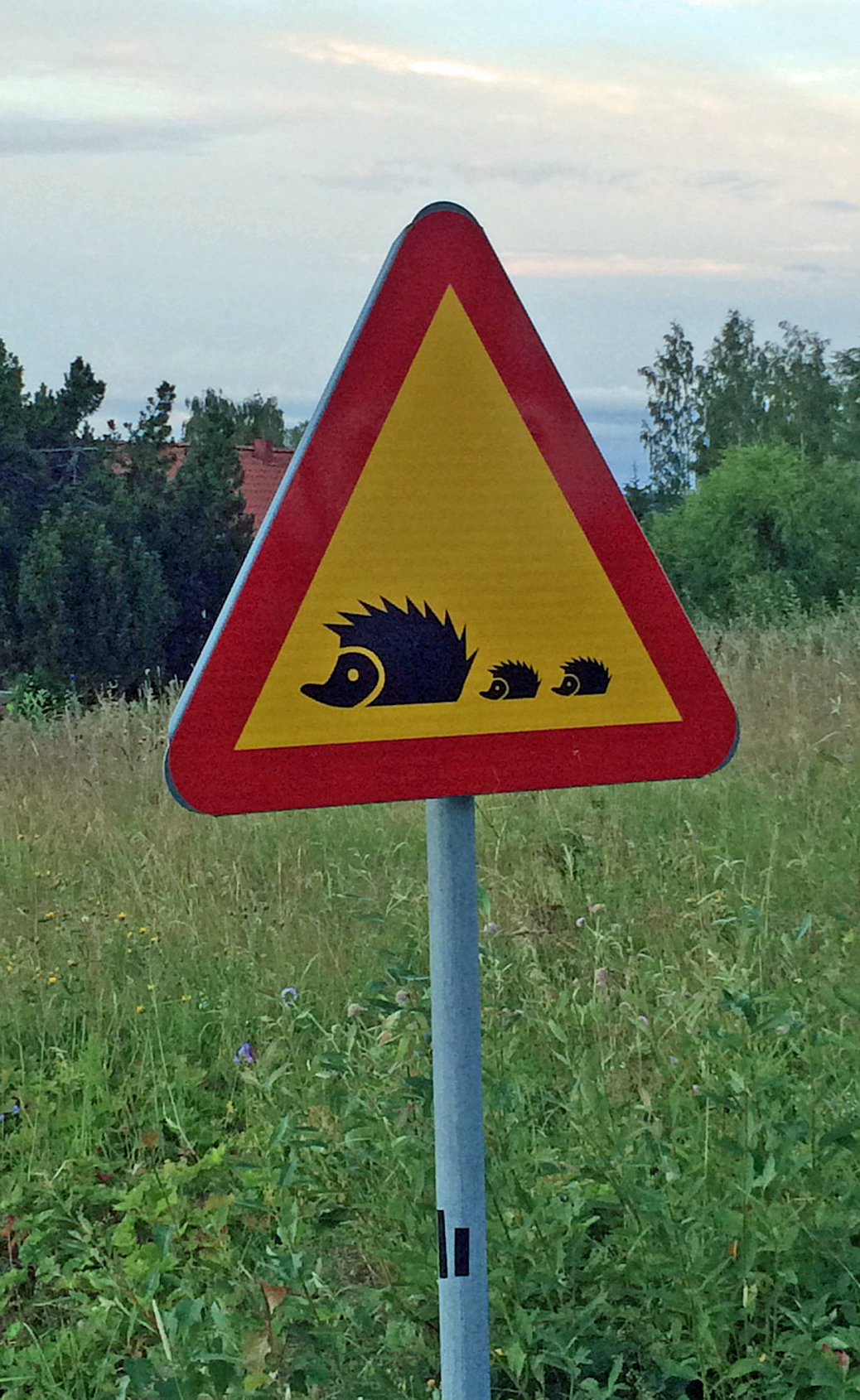 Denna bild har ett alt-attribut som är tomt. Dess filnamn är 2020Igelkottvarning.jpg