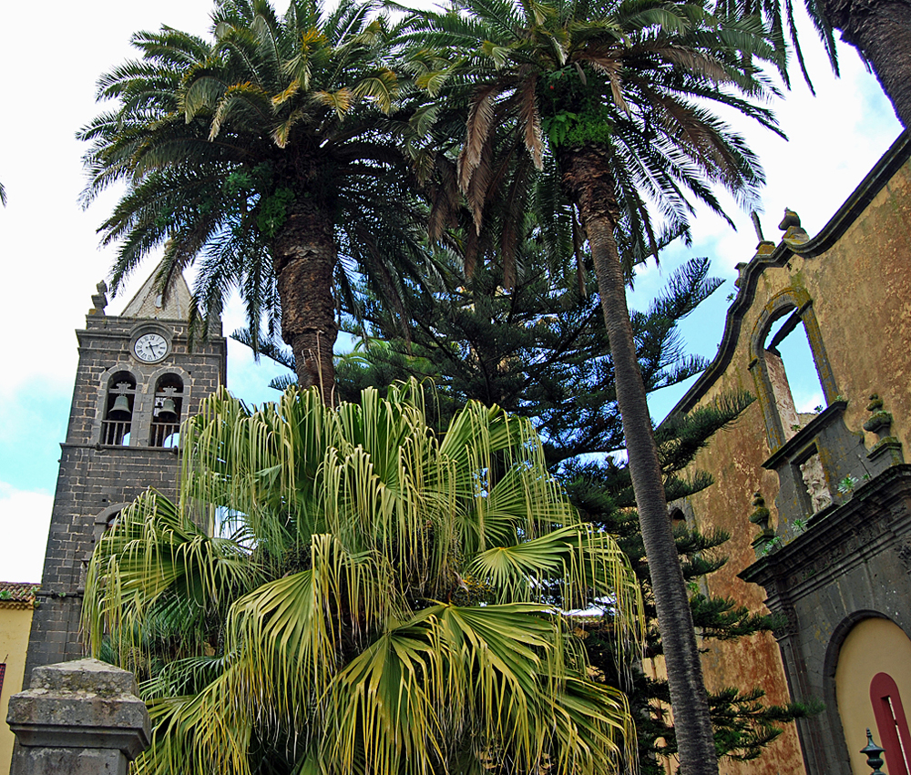 Denna bild har ett alt-attribut som är tomt. Dess filnamn är 2021LaLagunaklocktorn.jpg