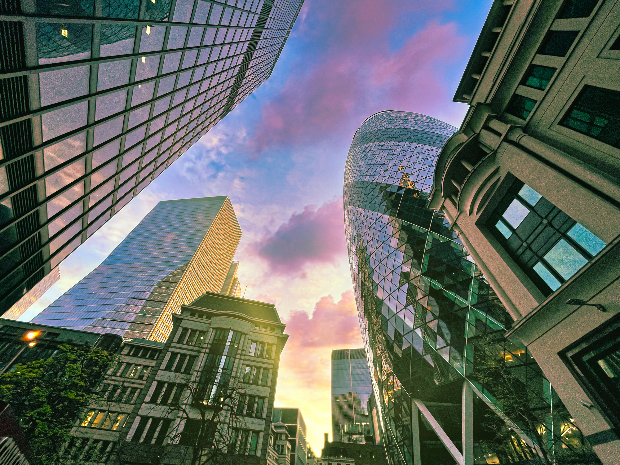 Insurance Product Development