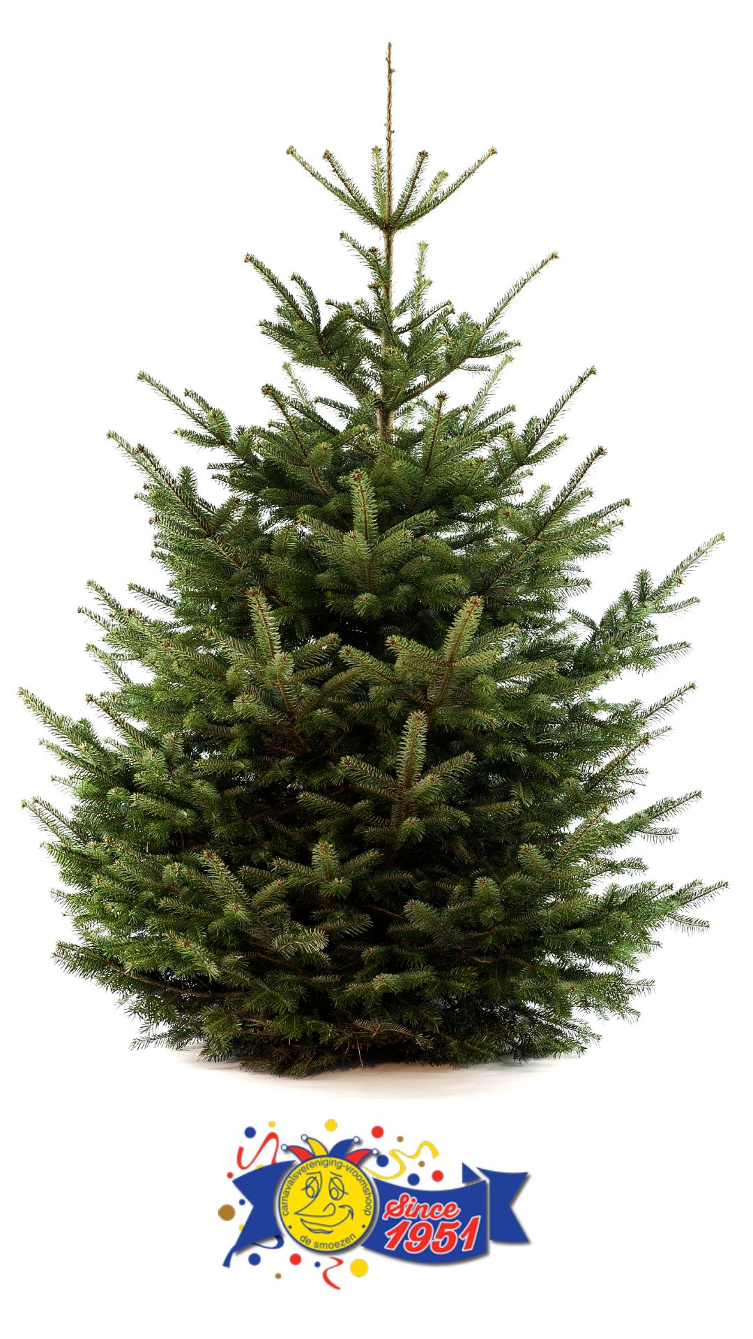 Ophalen kerstboom C.V. De Smoezen