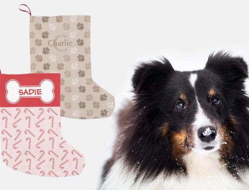 20 Christmas Stocking Stuffer Ideas For Dogs