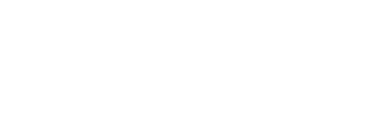 Destei Logo