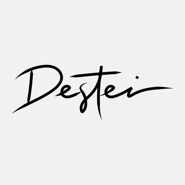 Destei Logo