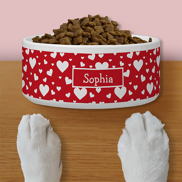 Valentine's Day Design Pet Supplies