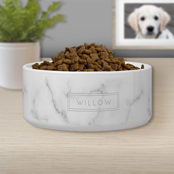 Personalizable Pet Supplies