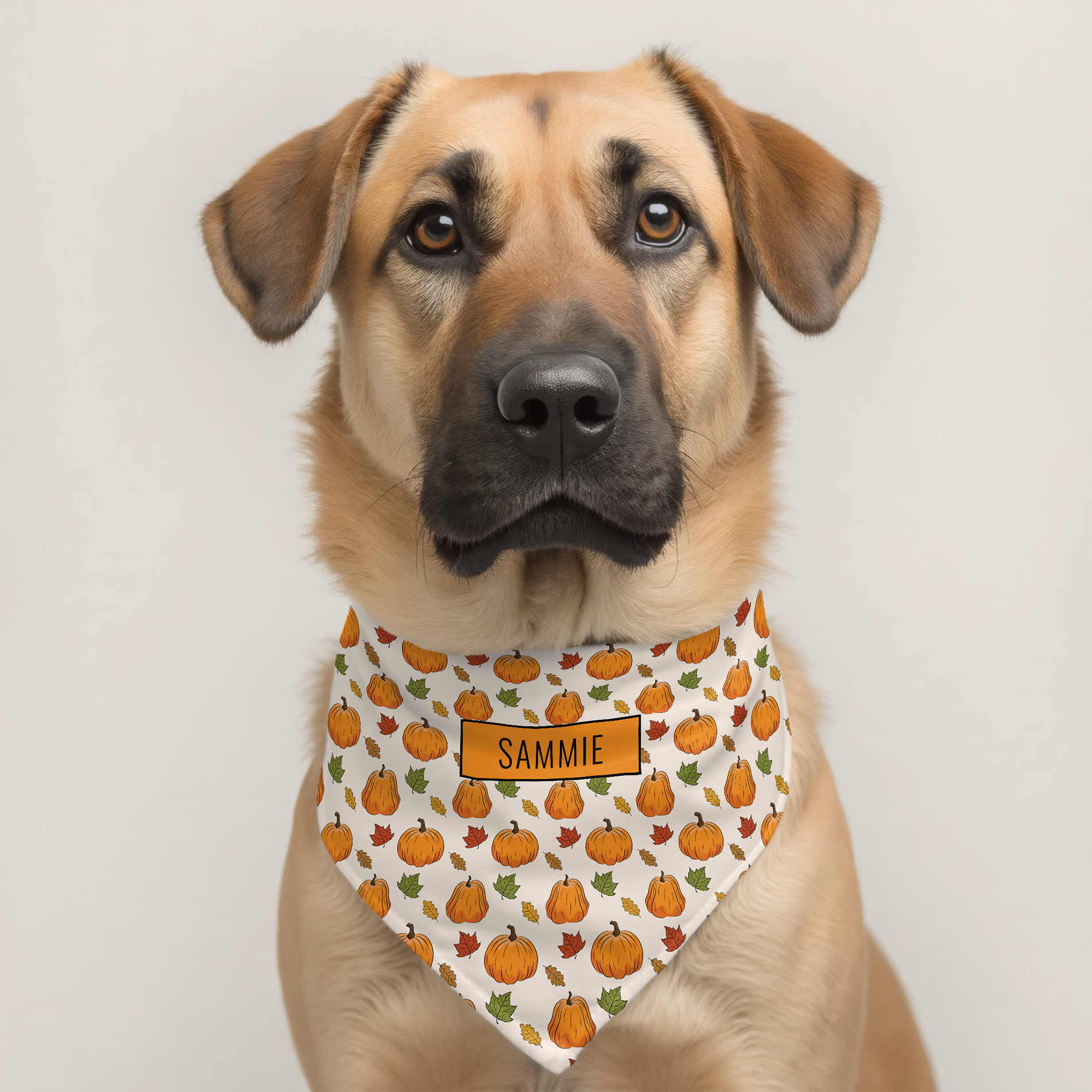 Pumpkin And Autumn Leaves Pattern Fall Colors Pet Bandana Collar Design By Destei