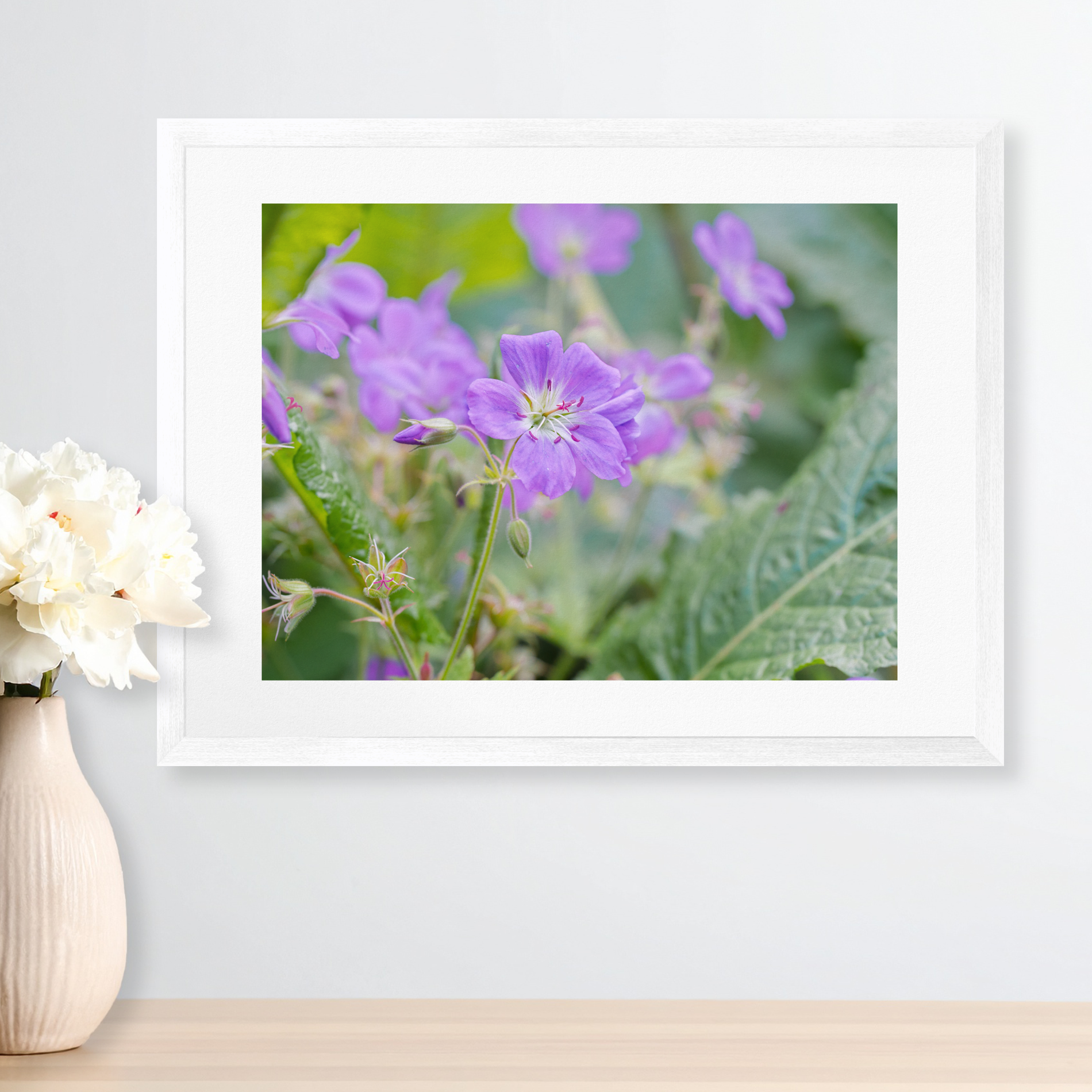 Purple Geranium Wildflower