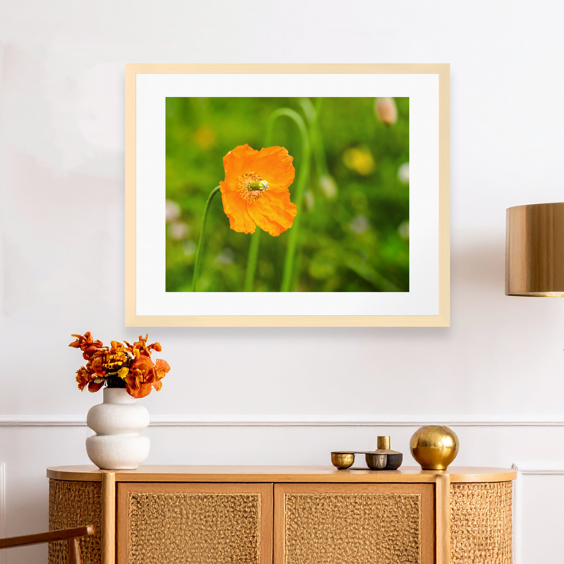 Orange Poppy