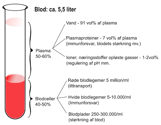 Blod Biologi