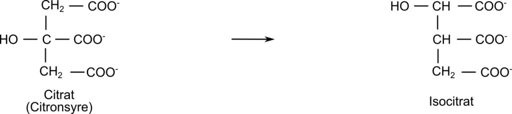 isomerase reaktion biokemisk