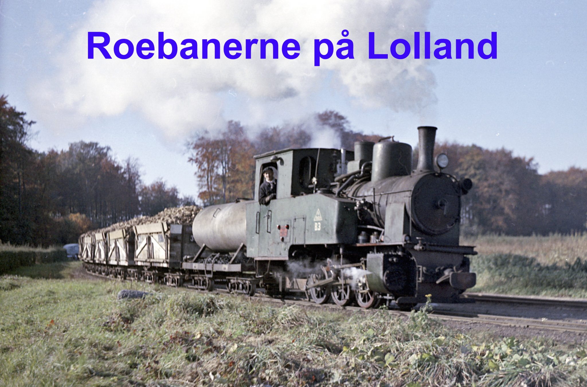 Roebanerne på Lolland / NY DATO