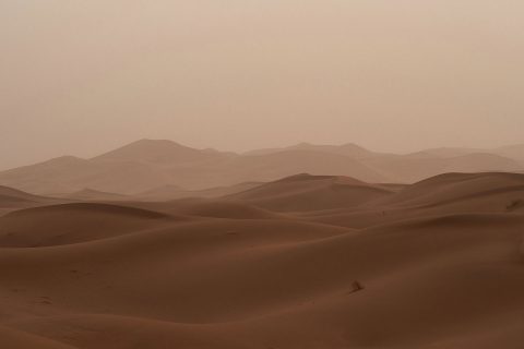 Foto: Wolfgang Hasselmann, Unsplash