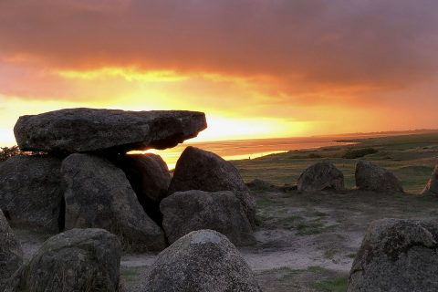 Foto: Susn Matthiessen, Unsplash