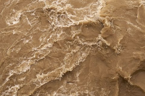 Foto: Wolfgang Hasselmann, Unsplash