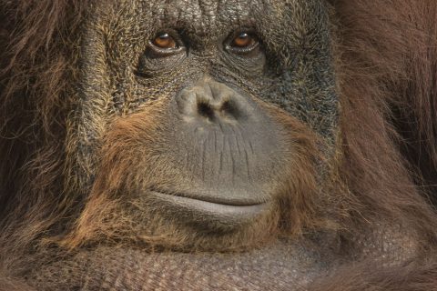 Foto: Bobby Mc Leod, Unsplash