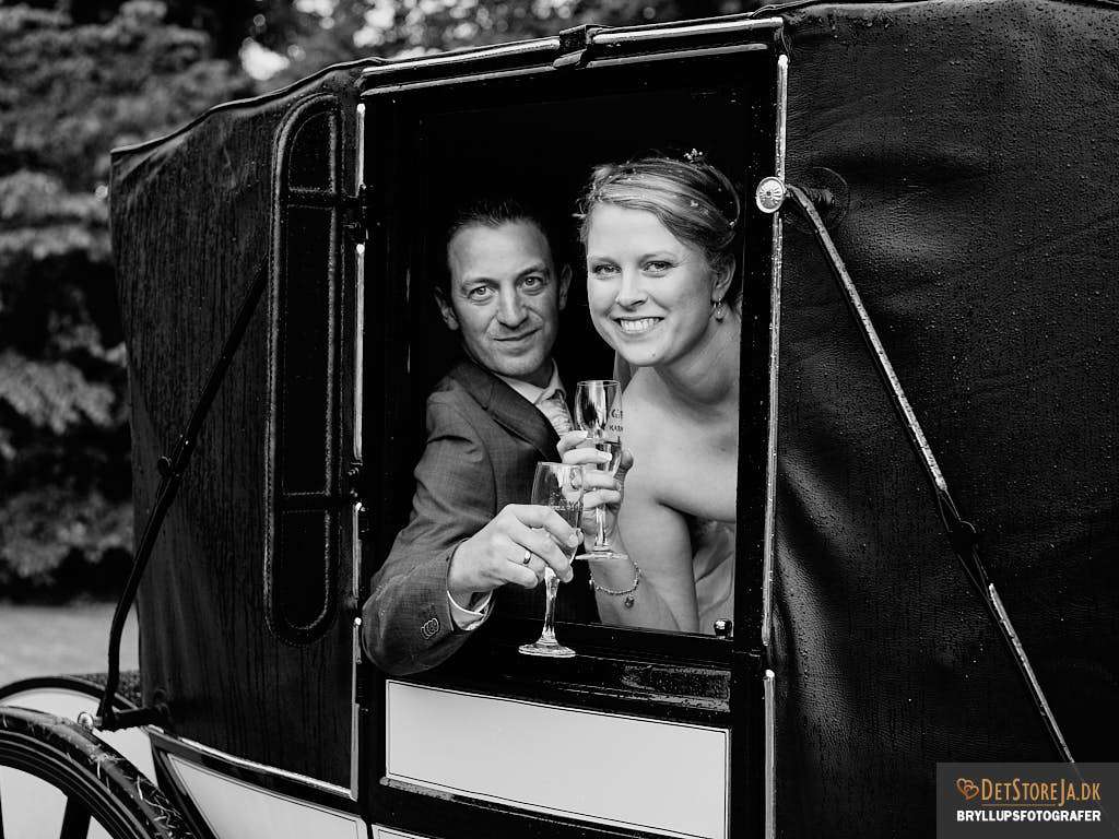 fotograf til bryllup brudepar skåler ud af hestevogn