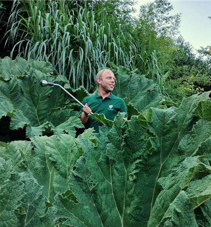 Tuincoach Dieter Blancquaert verzorgt tuincoaching, tuinontwerp en tuinaanleg.