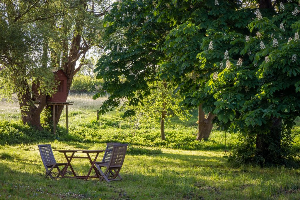 Tuincoaching voor je droomtuin. Tuincoaching