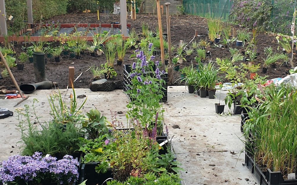 De Tuincoach helpt ook bij tuinaanleg. De Tuincoach helpt ook bij tuinaanleg.