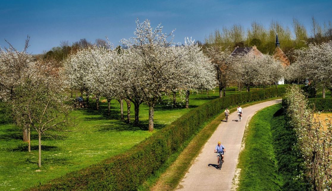 Vakantietip: Met de fiets op ontdekking door Limburg