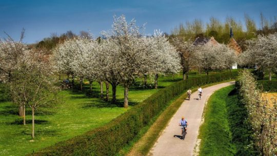 Vakantietip: Met de fiets op ontdekking door Limburg