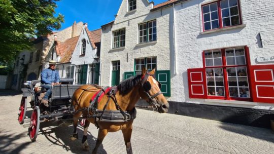 Toerist in eigen land: zes inspirerende tips om Brugge te (her)ontdekken