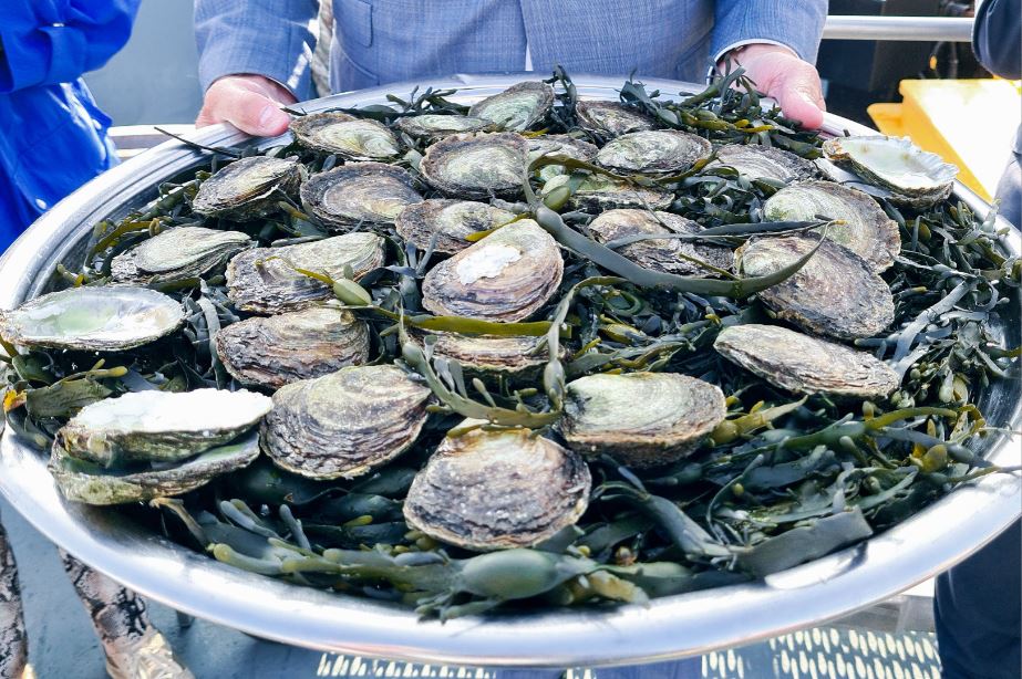 Het nieuwe oesterseizoen is smakelijk geopend!