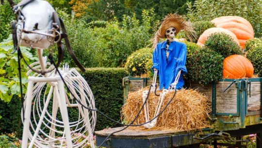 Halloween wordt superspannend in Pairi Daiza