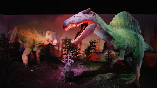 Expo Dino World: Op safari met levensechte dino’s