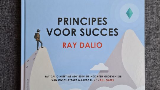 Topondernemer Ray Dalio zet zijn ‘Principes voor succes’ om in verhelderend beeldverhaal