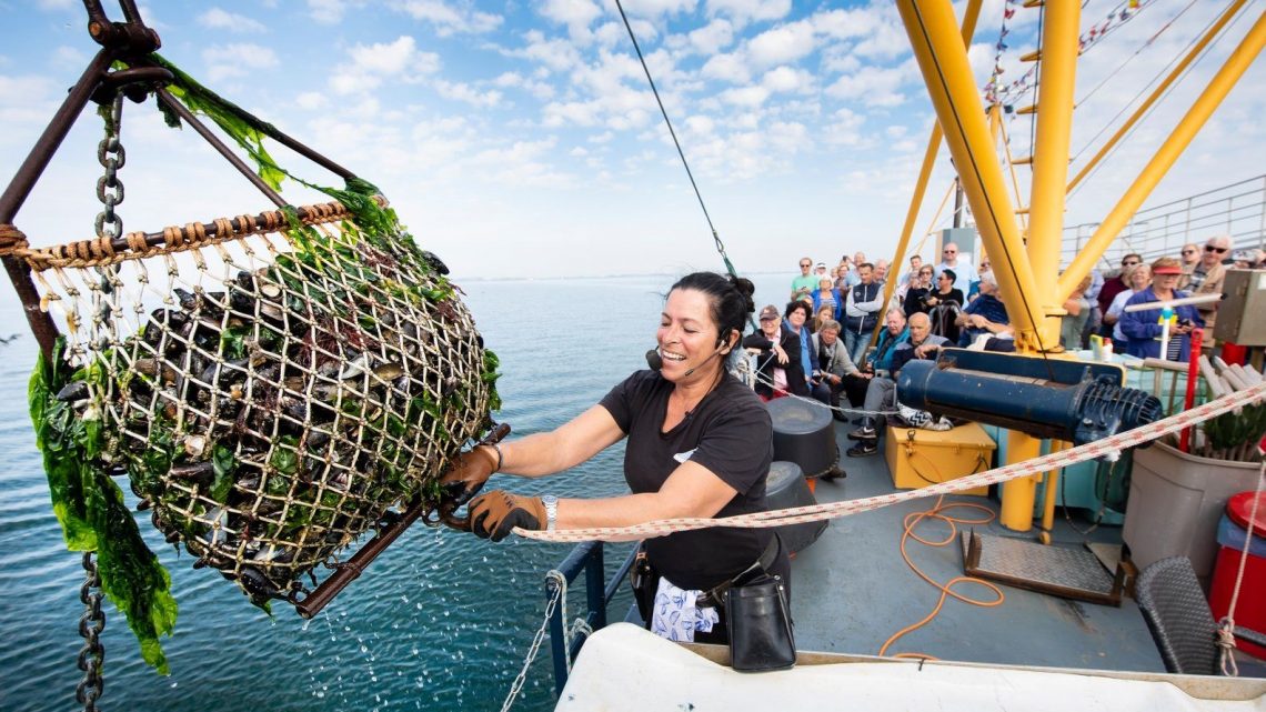 Ga deze zomer flaneren en proeven op de Mossel & Oesterboulevard in Yerseke