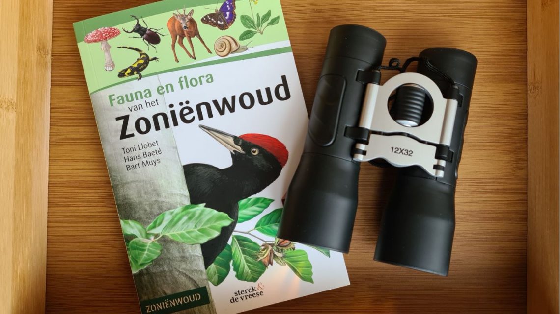 Fauna en flora van het Zoniënwoud: de ideale gids voor een wandeling in Unesco Werelderfgoed