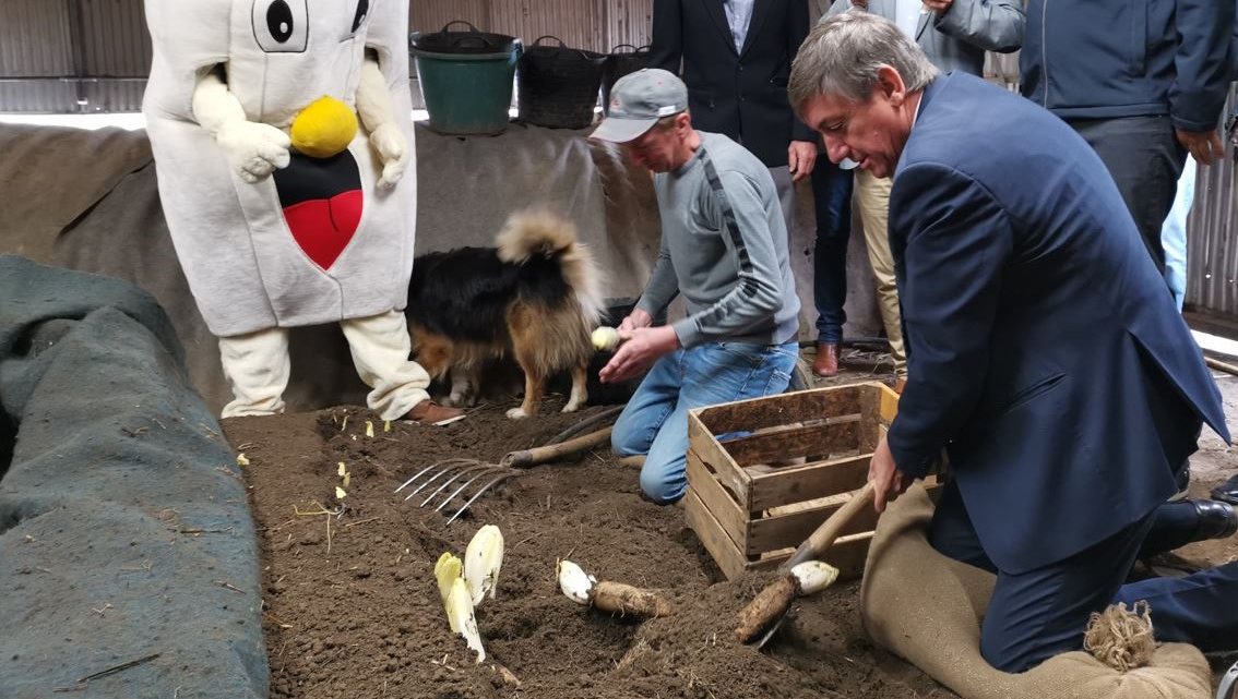 Vlaams minister-president Jan Jambon haalt eerste ‘witte goud’ uit de grond