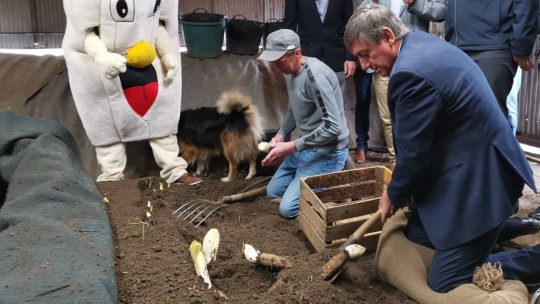 Vlaams minister-president Jan Jambon haalt eerste ‘witte goud’ uit de grond