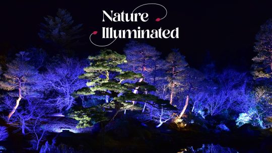 ‘Nature Illuminated’ brengt magistrale lichtshow aan Kasteel Groot-Bijgaarden