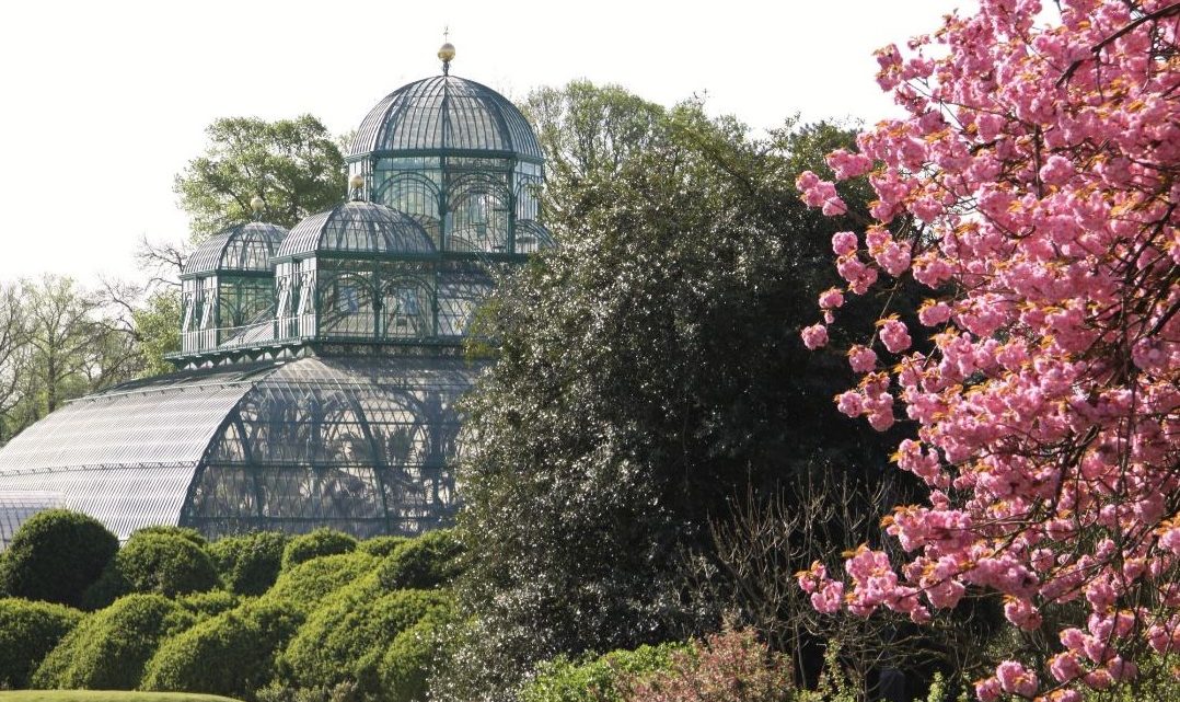 Een royale wandeling door de koninklijke serres van Laken