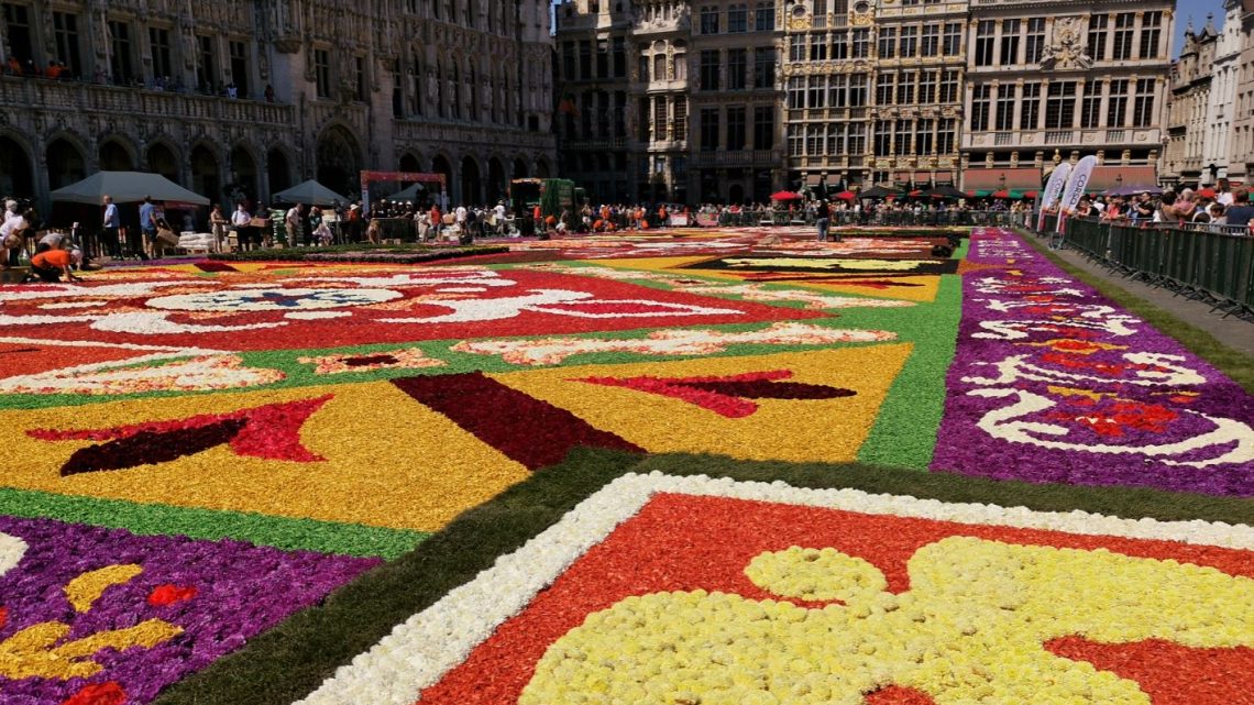 Bloementapijt laat Grote Markt van Brussel schitteren in duizend-en-één kleuren