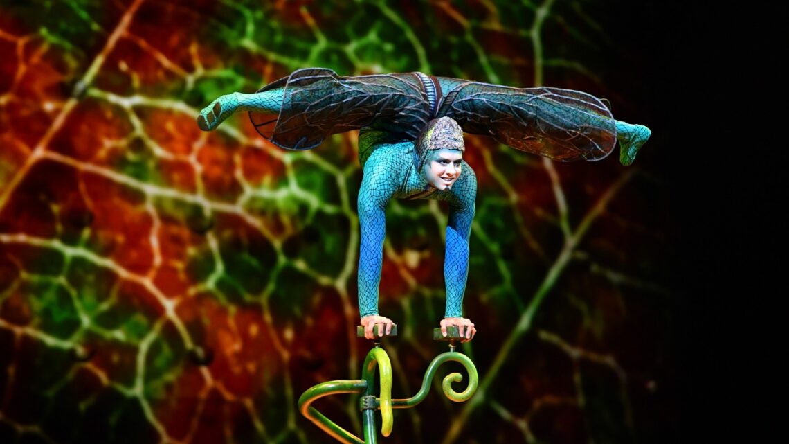 Cirque du Soleil brengt met OVO de kleurrijke wereld van insecten naar Antwerpen