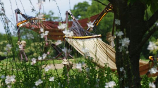 Zomerkriebels: de beste tips voor uren ontspanning