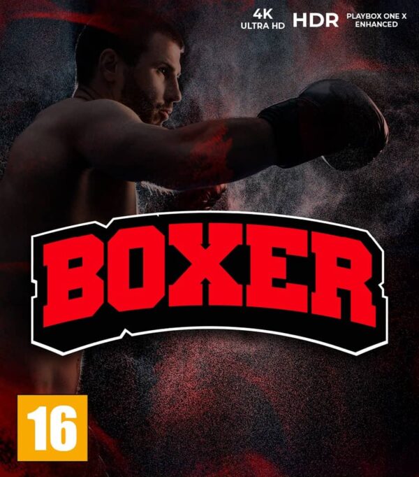 boxer